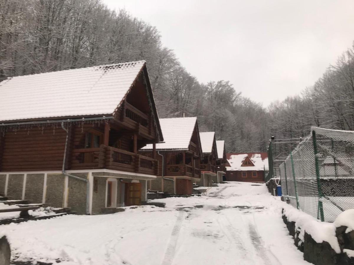 Toursit Complex Polyana Kvasova Otel Dış mekan fotoğraf